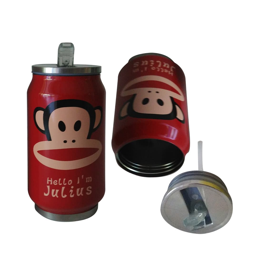 Stainless Steel Vacuum Water Bottle - Julius - 300ML